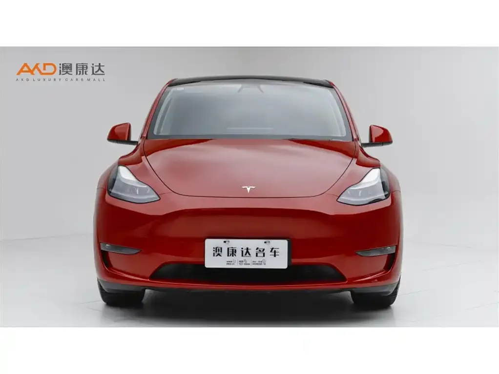 Tesla Model Y — фото 5
