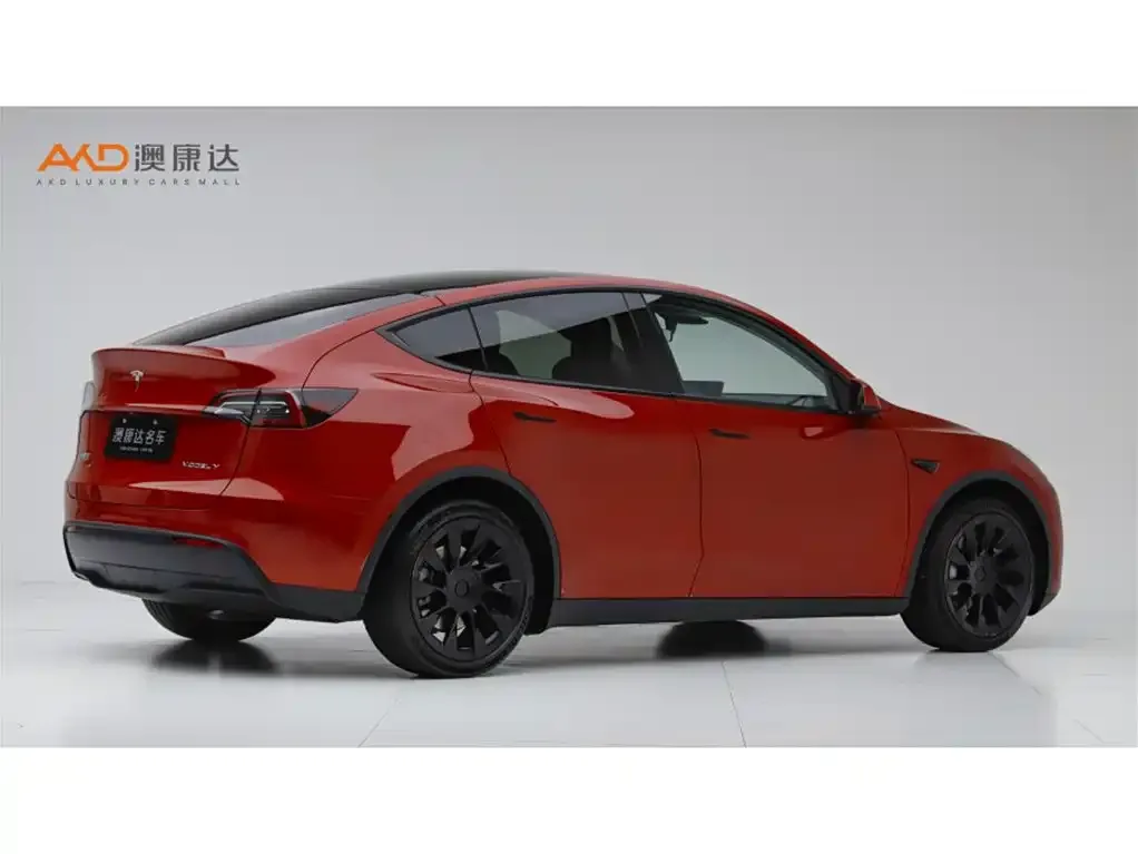 Tesla Model Y — фото 10