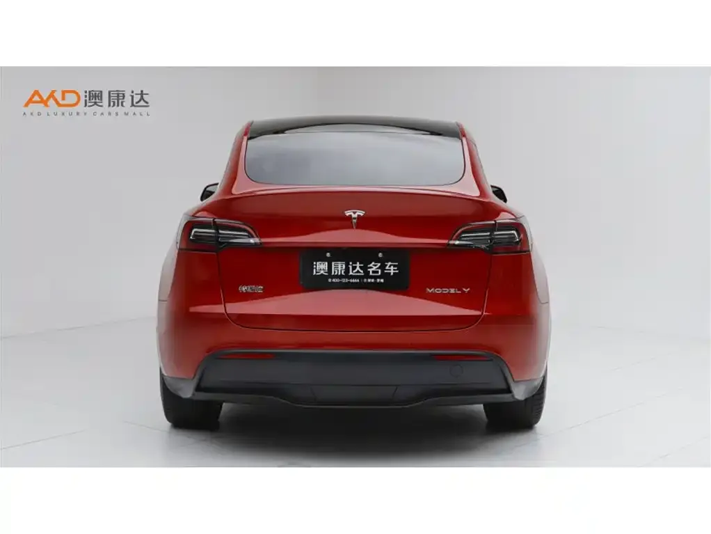 Tesla Model Y — фото 6
