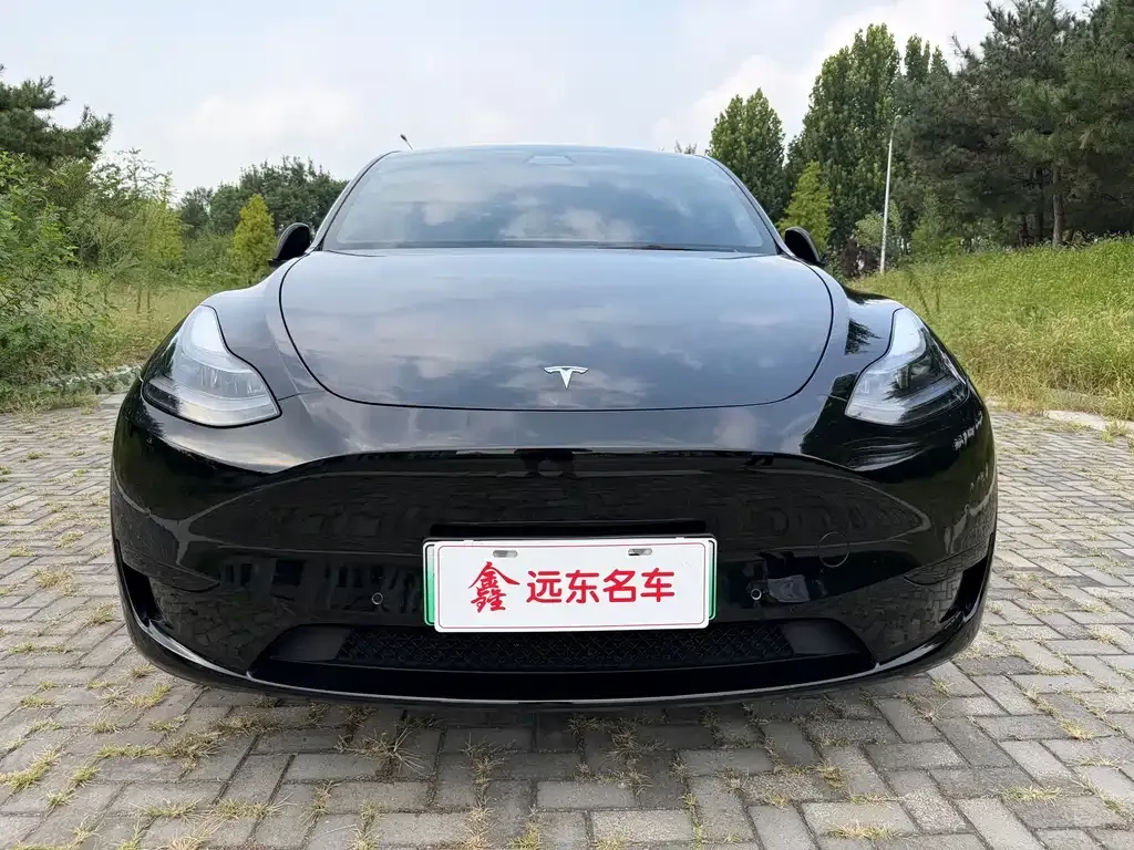 Tesla Model Y — фото 6