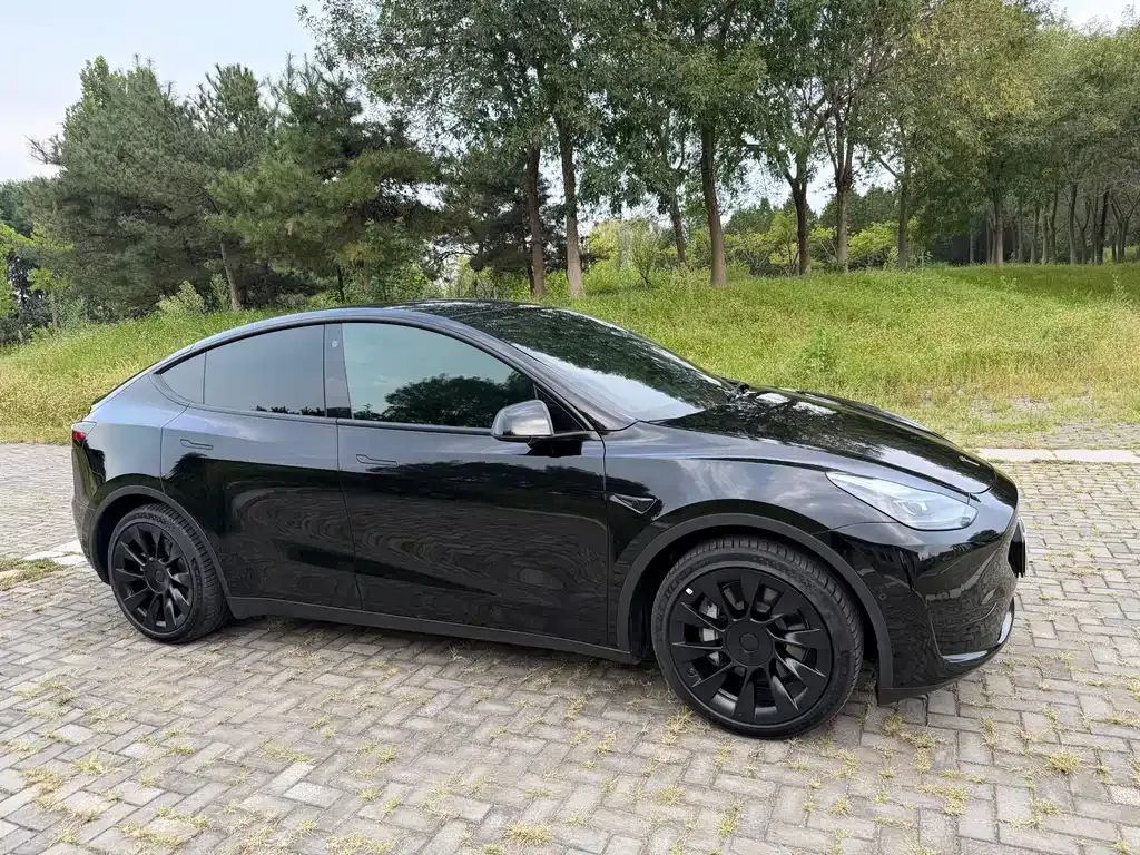Tesla Model Y — фото 3