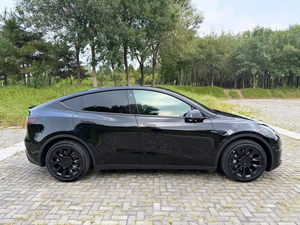 Tesla Model Y — фото 7
