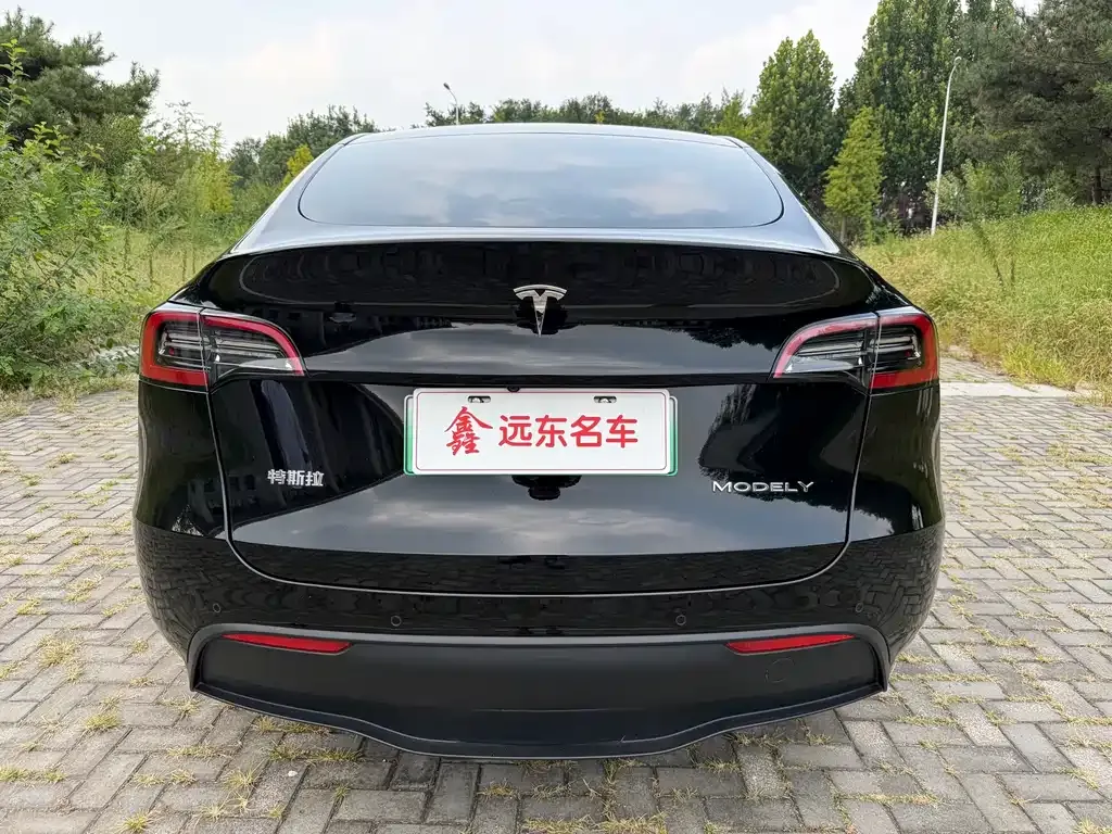 Tesla Model Y — фото 5