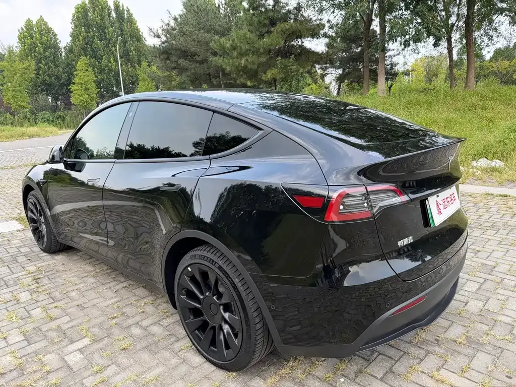Tesla Model Y — фото 10