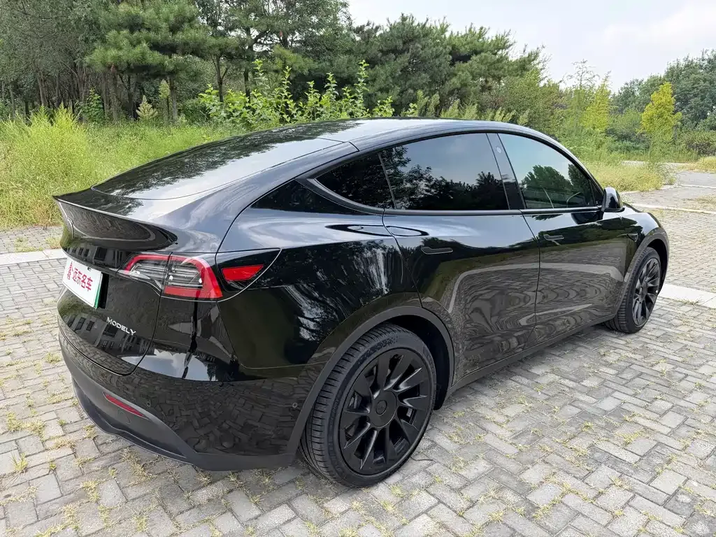 Tesla Model Y — фото 4
