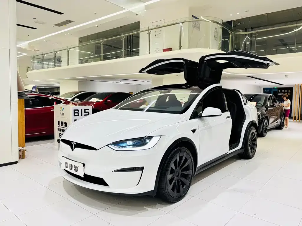 Tesla Model X — фото 1
