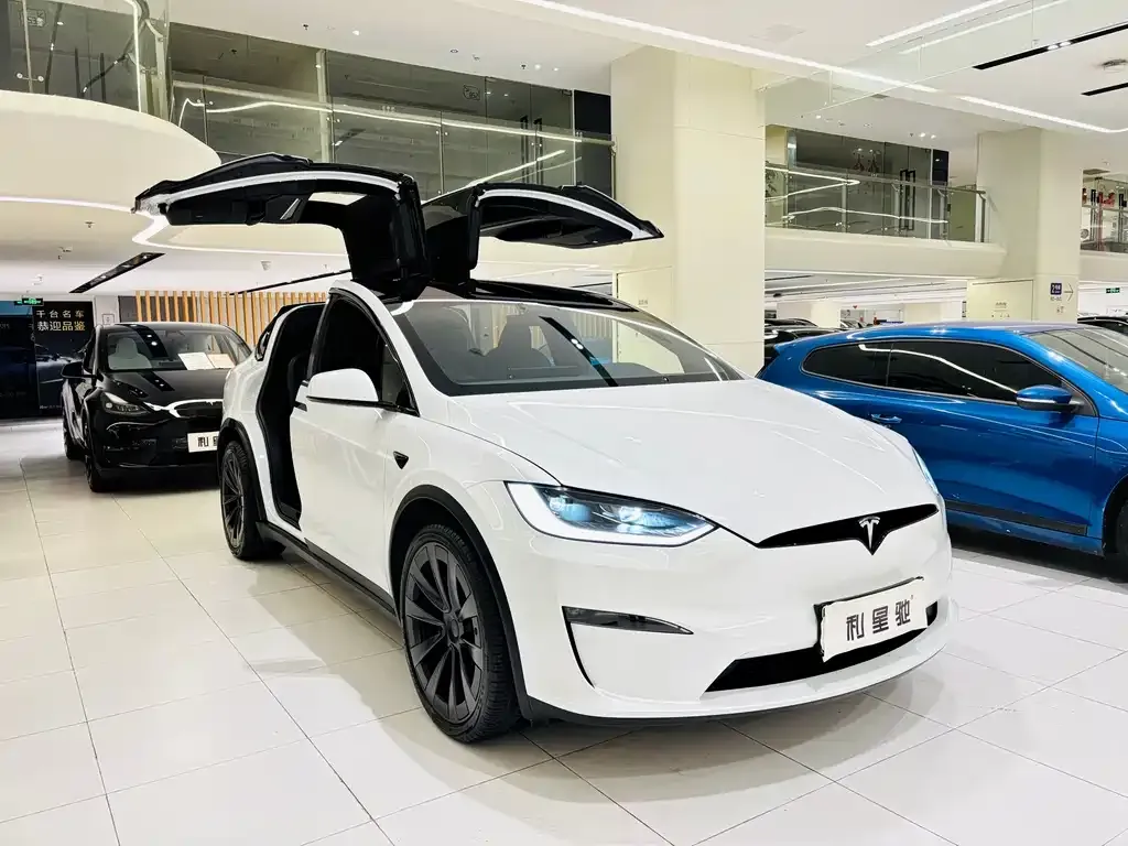 Tesla Model X — фото 6