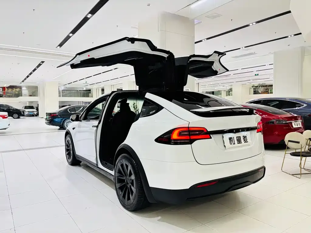 Tesla Model X — фото 9
