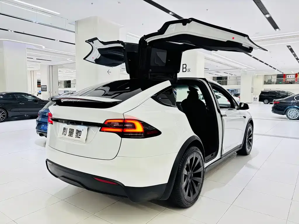 Tesla Model X — фото 10