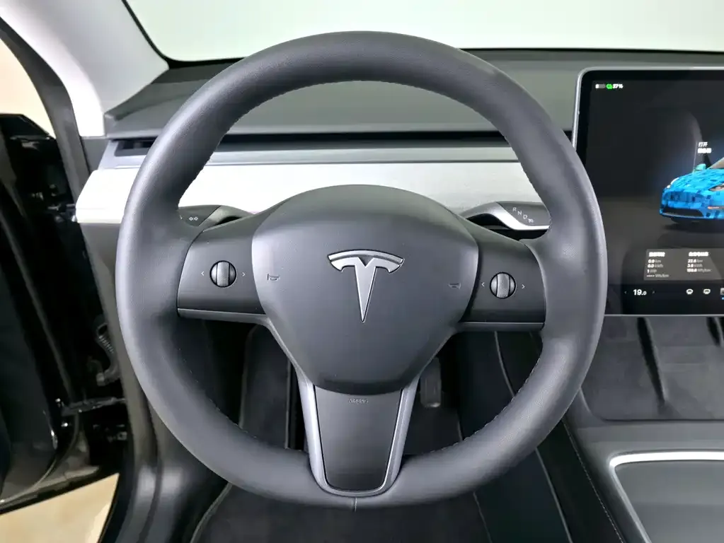 Tesla Model Y — фото 10