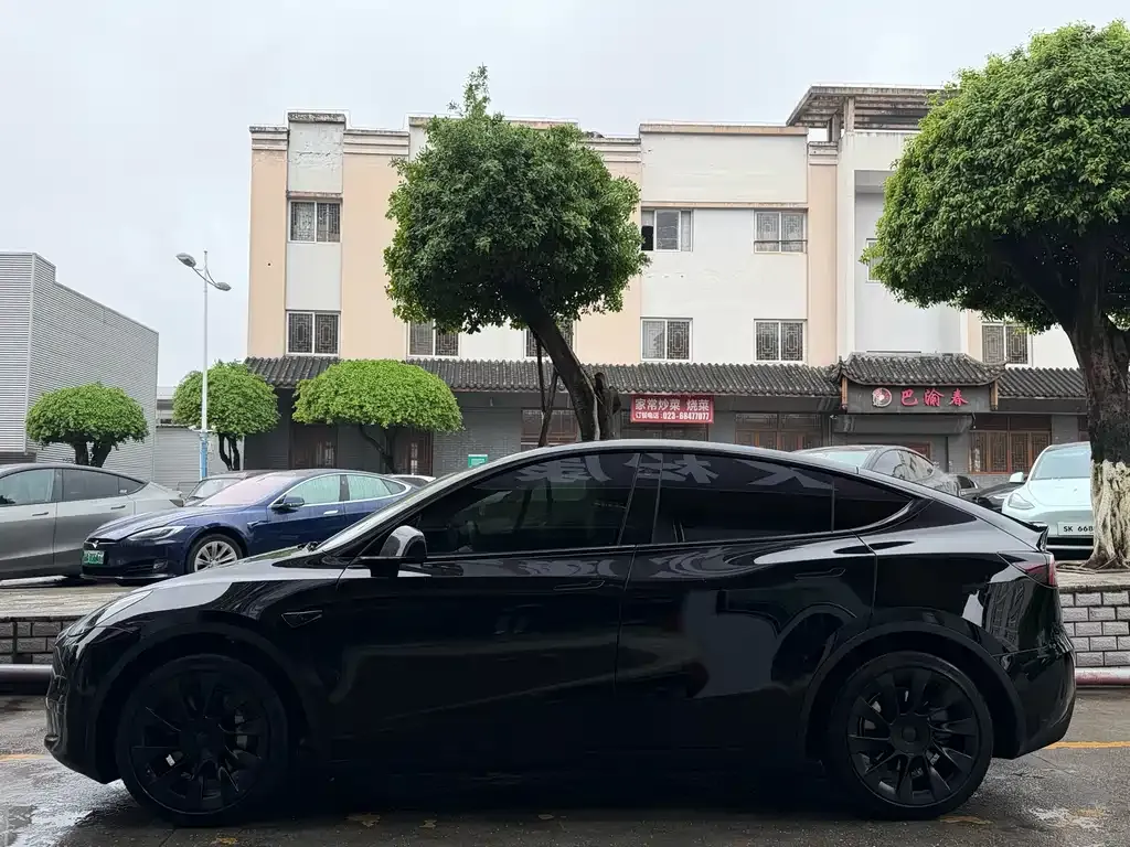 Tesla Model Y — фото 3