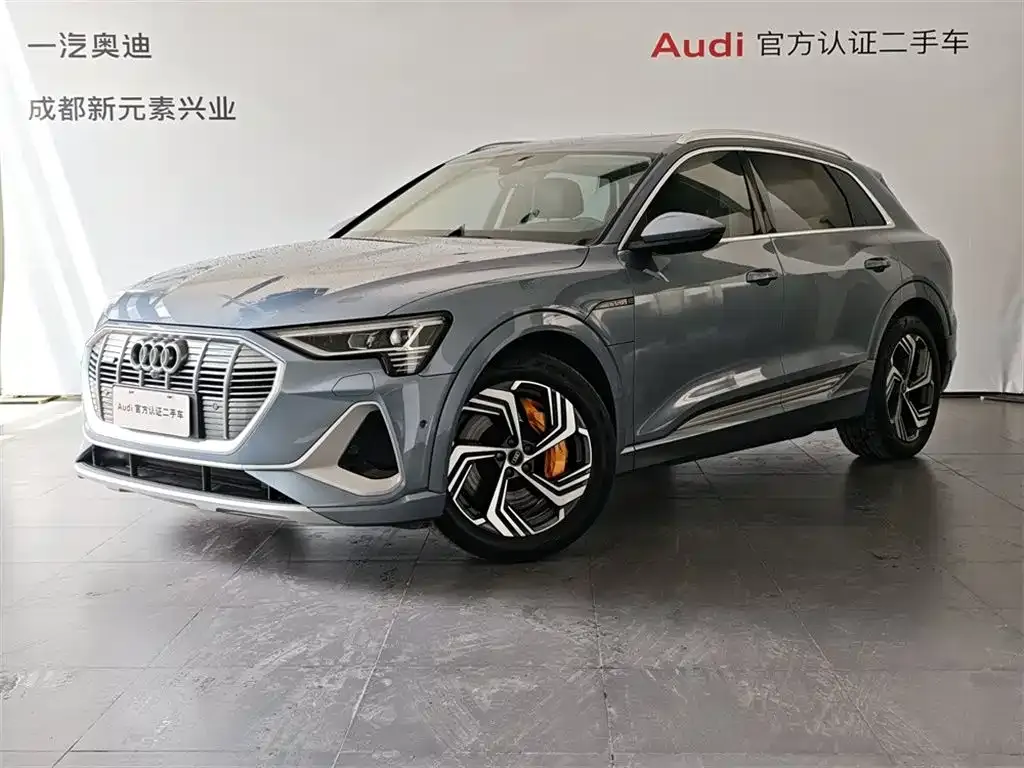 Audi e-tron — фото 1