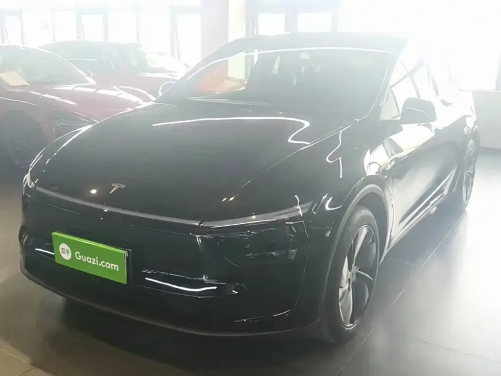 Tesla Model Y — фото 6