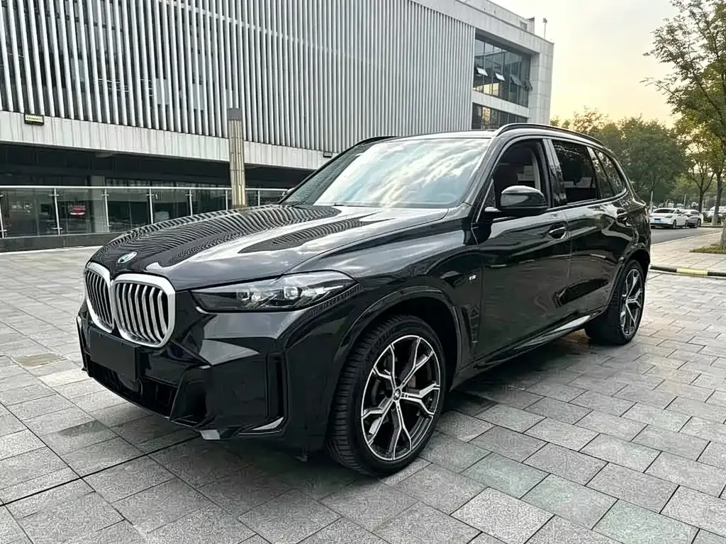 BMW X5 — фото 1