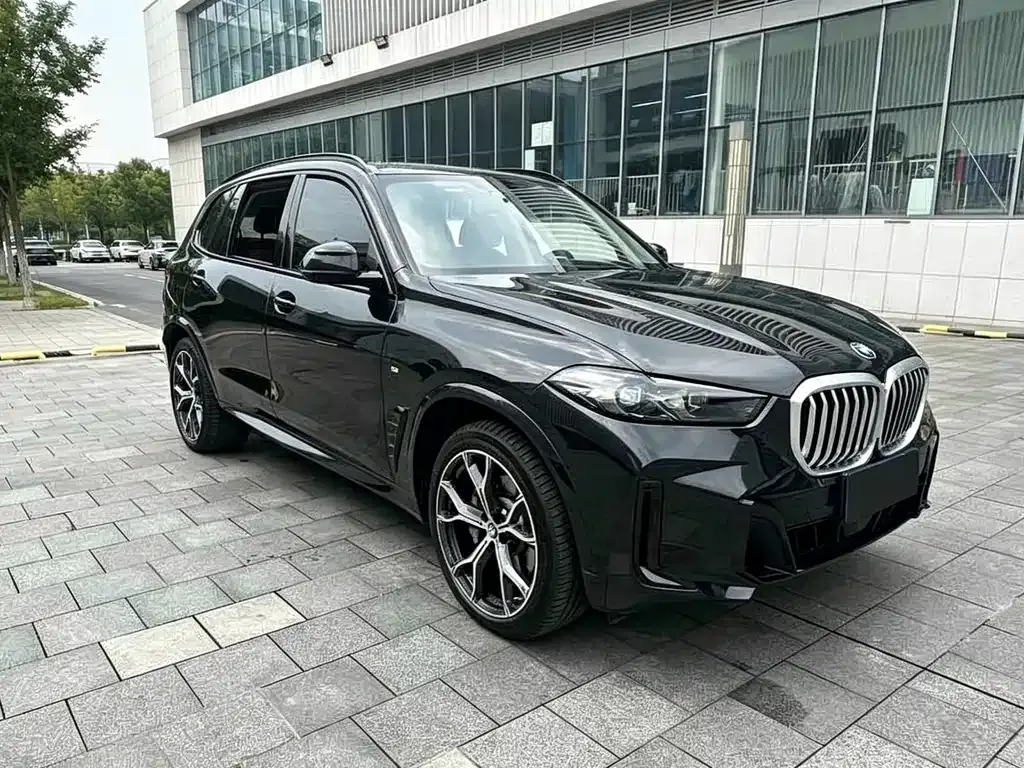 BMW X5 — фото 8