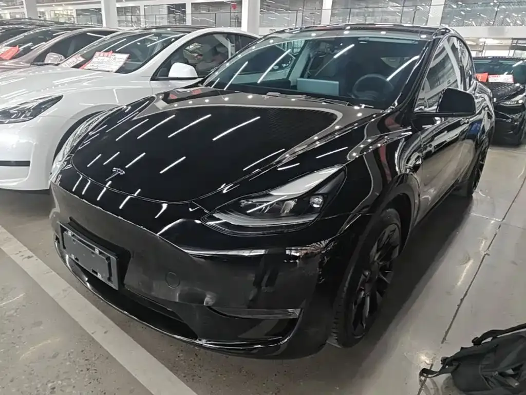 Tesla Model Y — фото 5