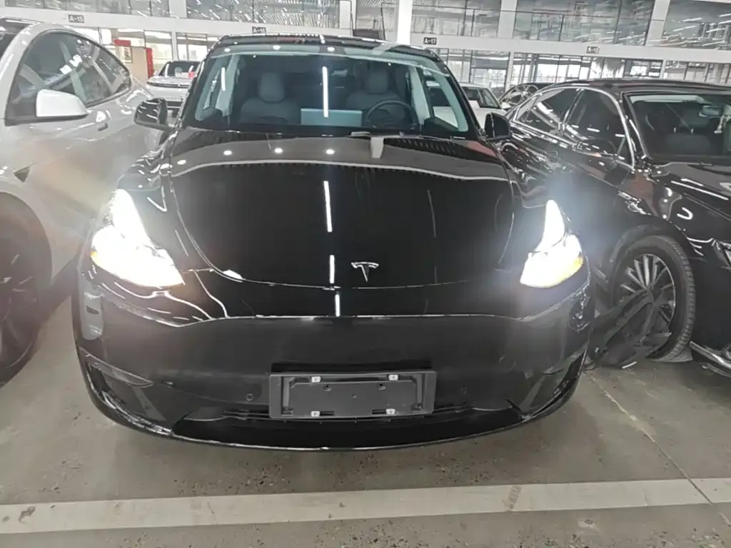Tesla Model Y — фото 7