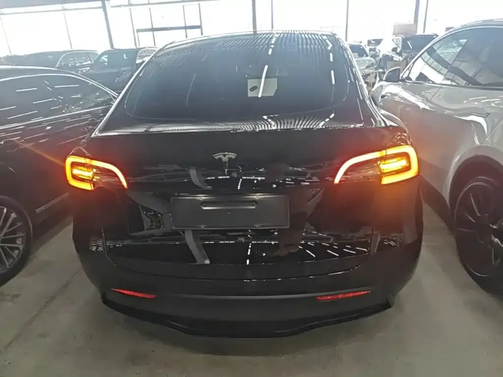Tesla Model Y — фото 9