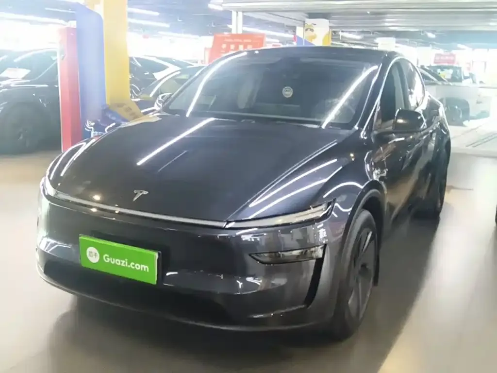 Tesla Model Y — фото 10