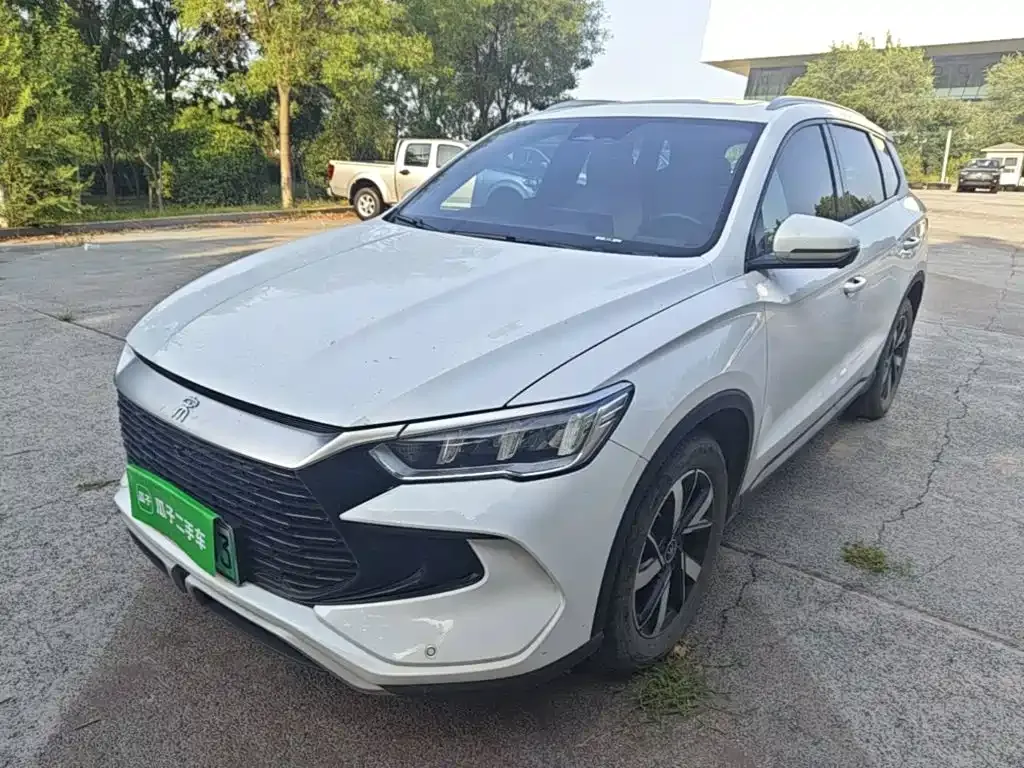 BYD Pro New Energy — фото 1