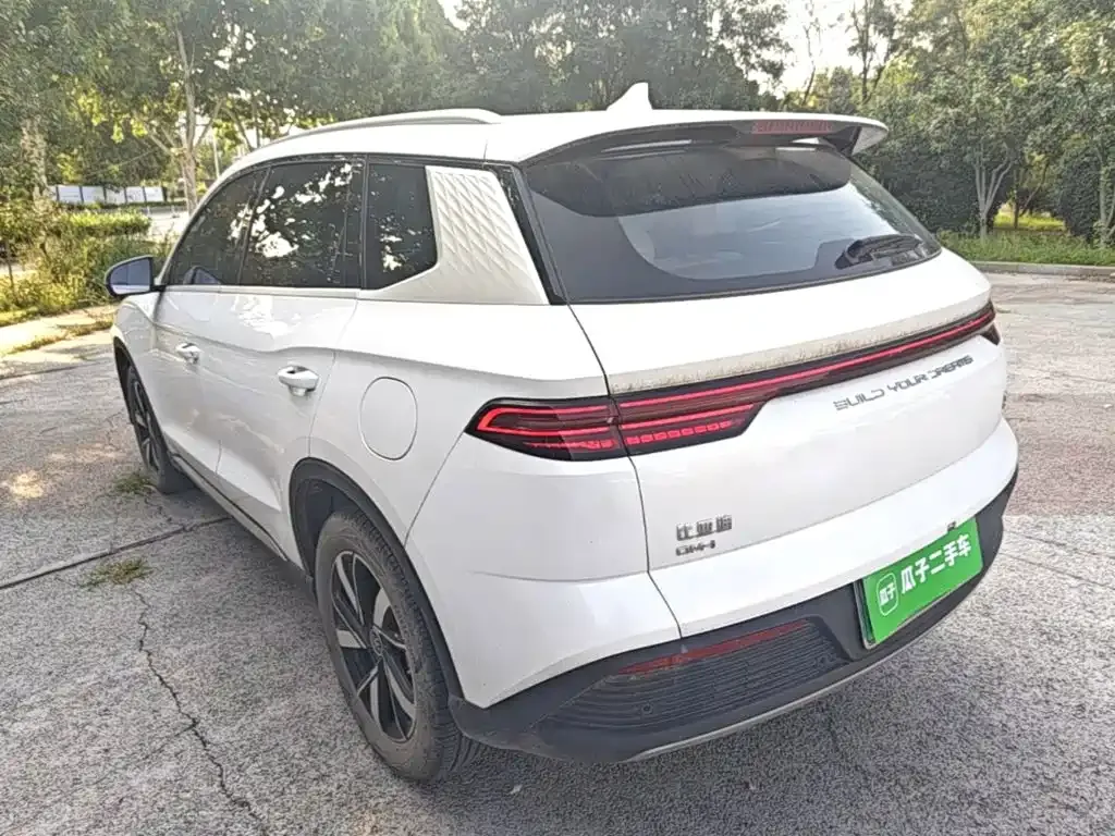 BYD Pro New Energy — фото 9