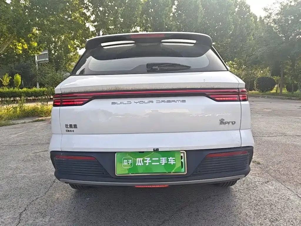 BYD Pro New Energy — фото 2