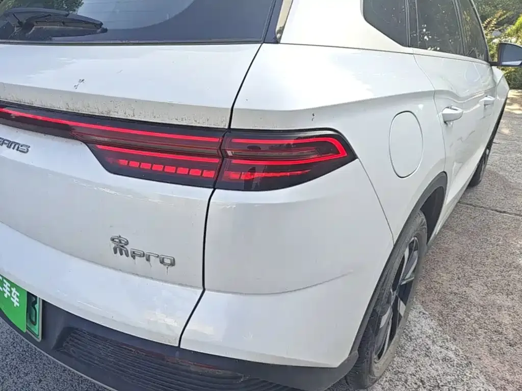 BYD Pro New Energy — фото 6