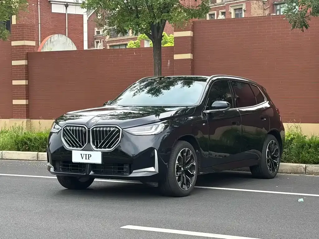 BMW X3 — фото 1