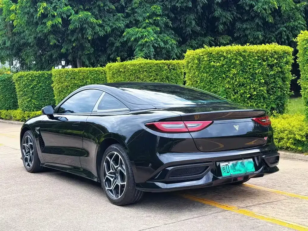 Neta GT — фото 6