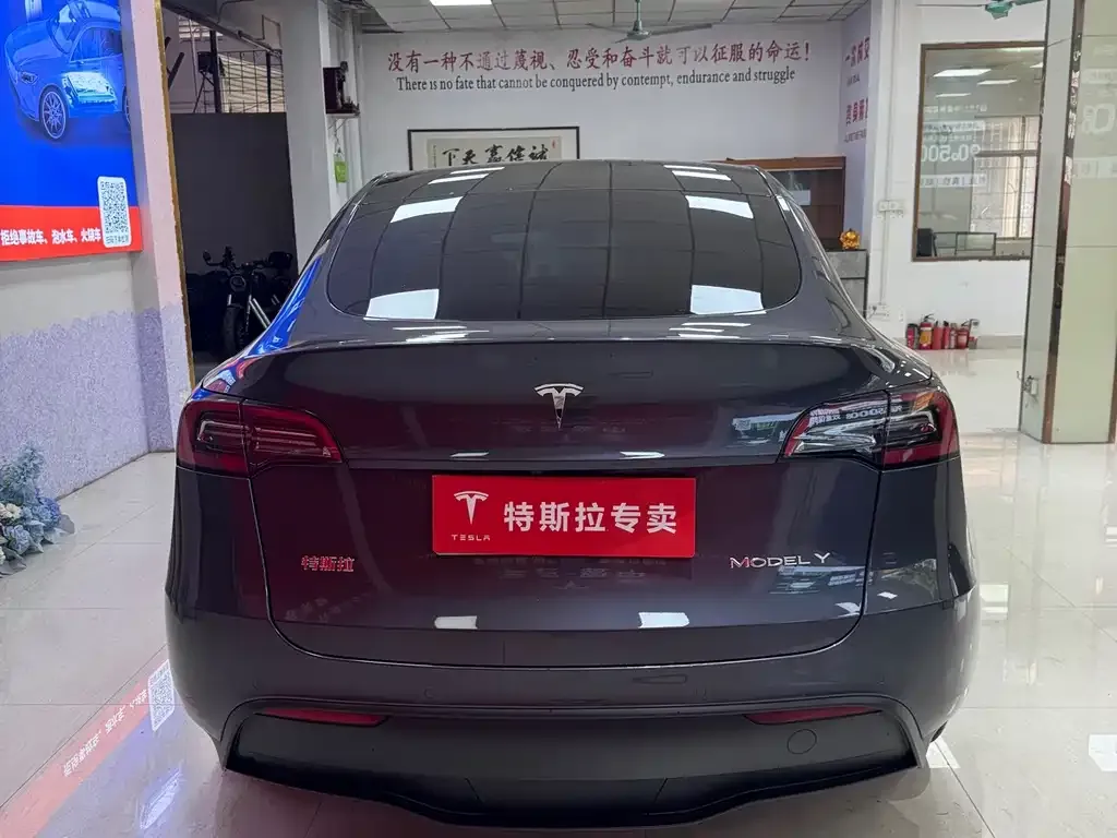 Tesla Model Y — фото 8