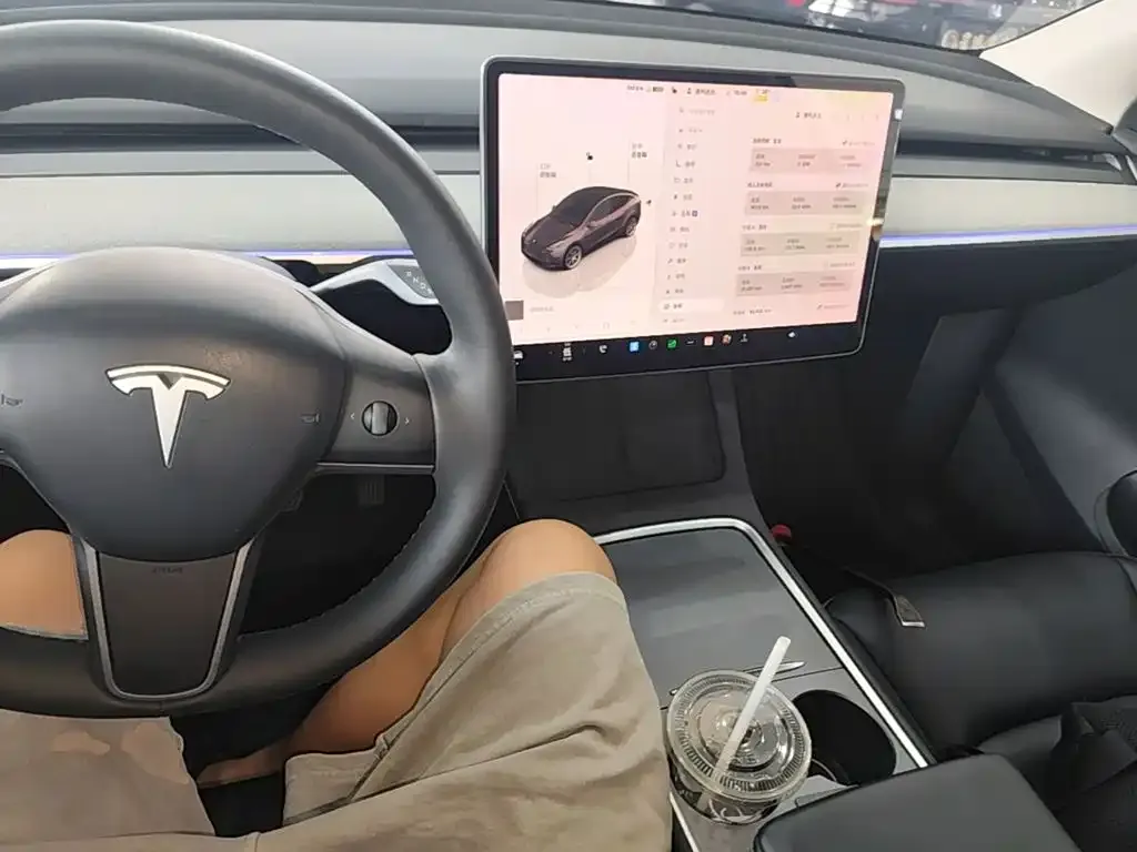 Tesla Model Y — фото 2