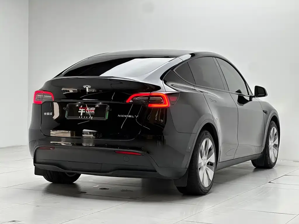 Tesla Model Y — фото 5