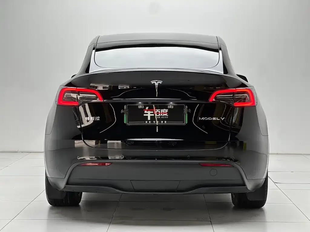 Tesla Model Y — фото 10