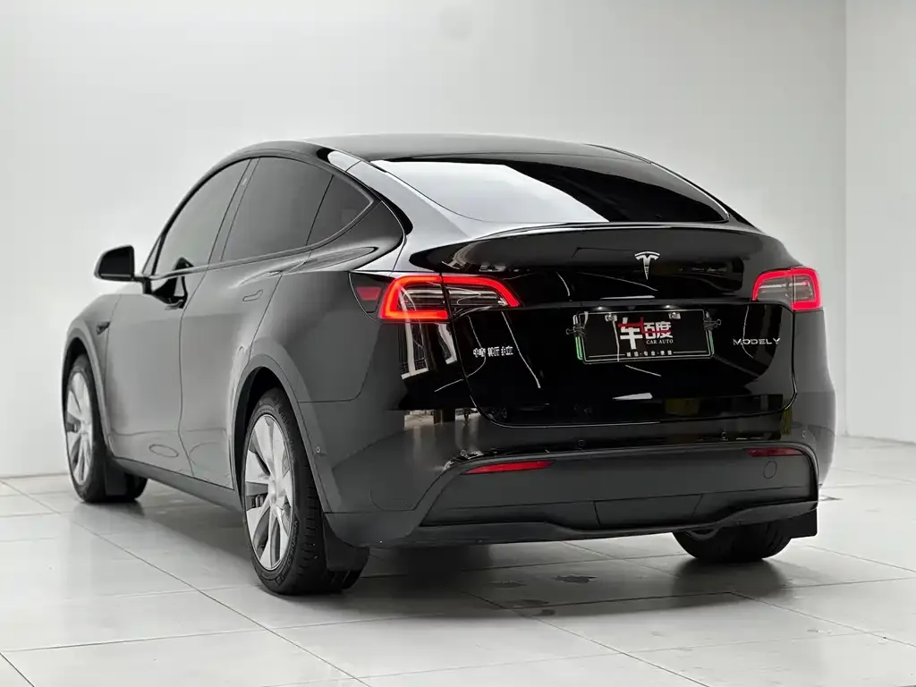 Tesla Model Y — фото 9