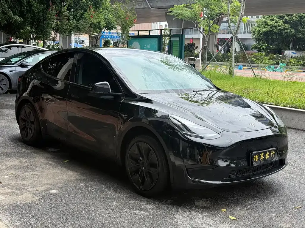 Tesla Model Y — фото 3