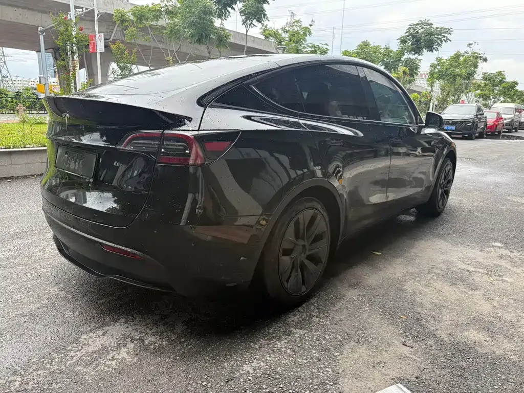 Tesla Model Y — фото 6