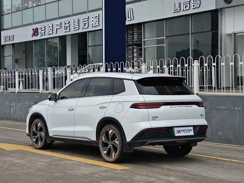 BYD Pro New Energy — фото 3