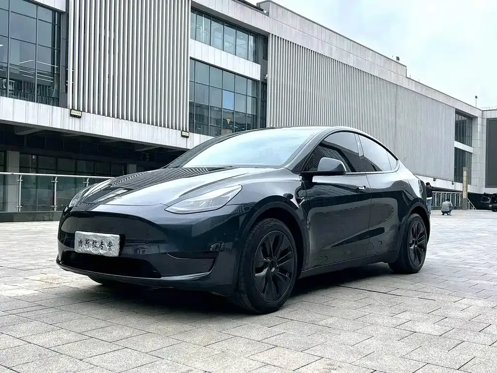 Tesla Model Y — фото 1