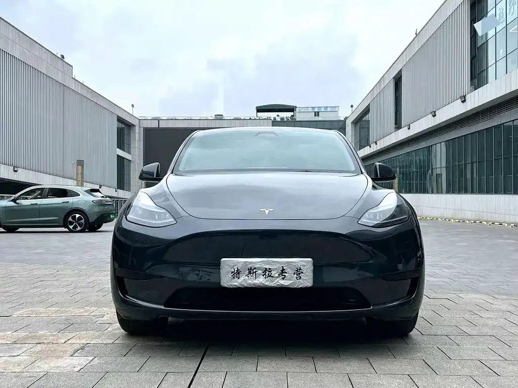 Tesla Model Y — фото 3