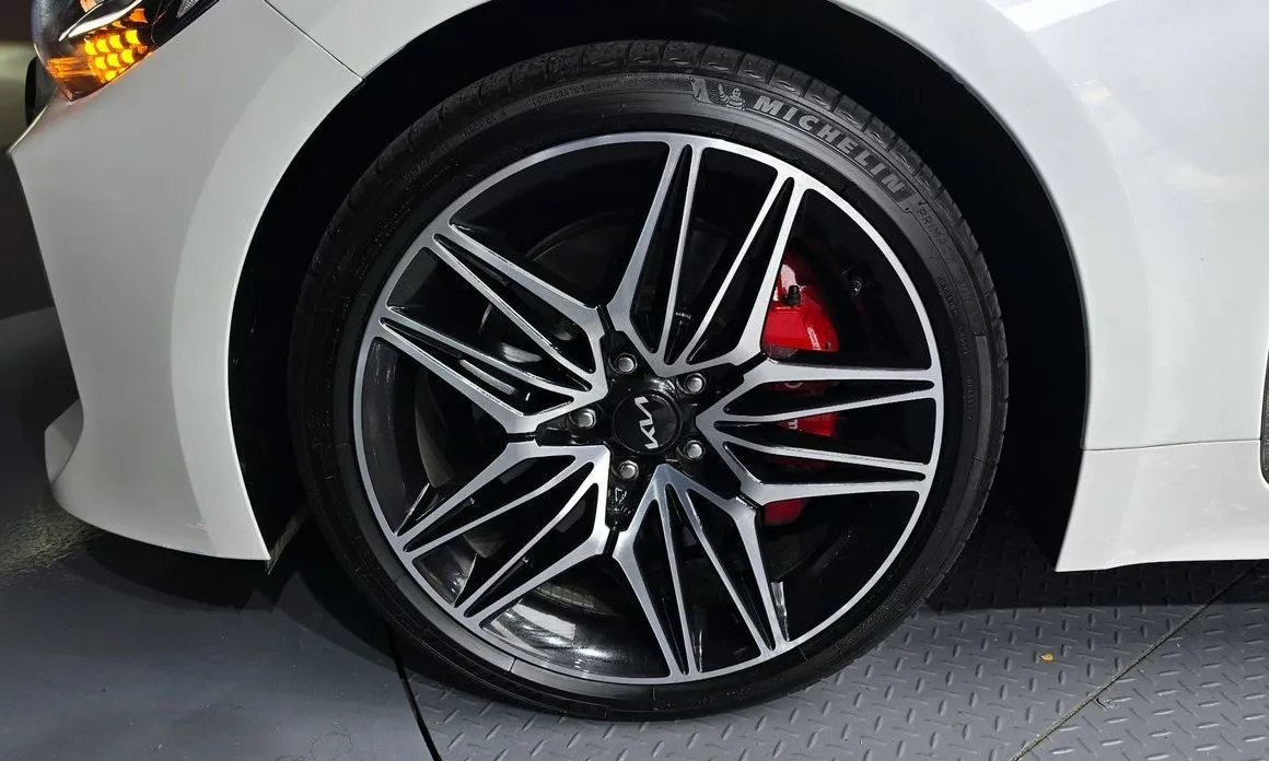 Kia Stinger — фото 10