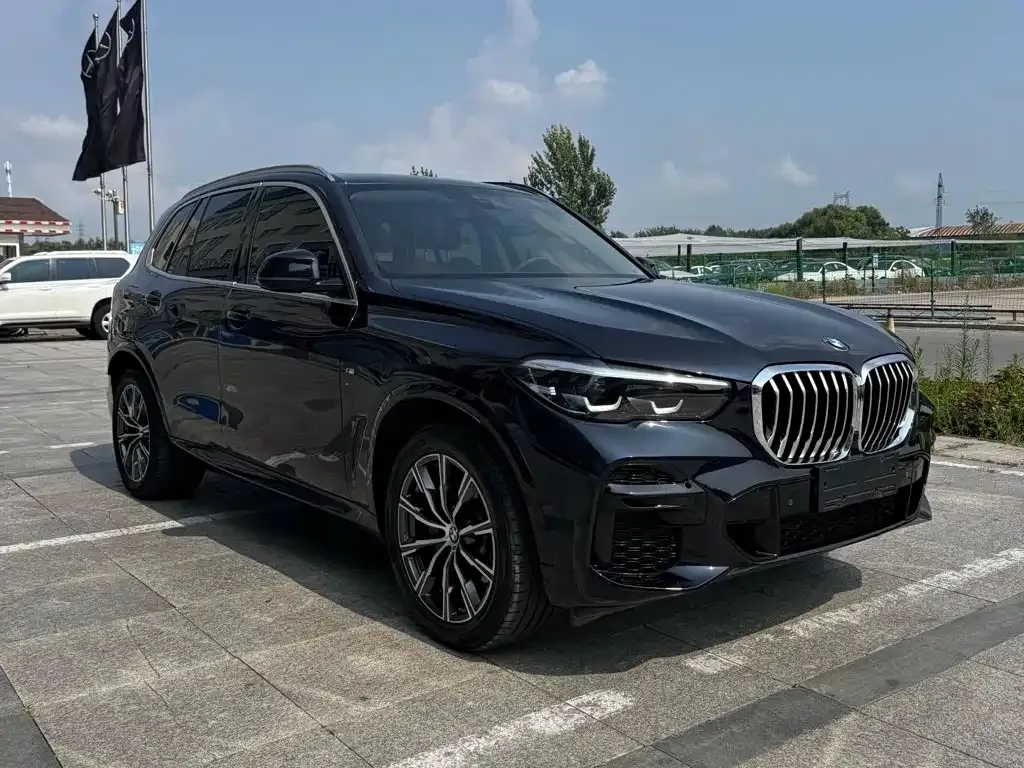BMW X5 (Import) — фото 9