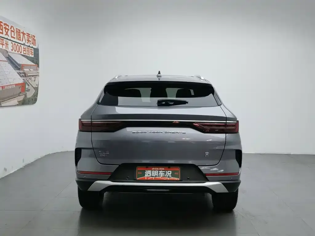 BYD PLUS New Energy — фото 3