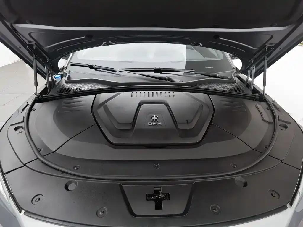 BYD PLUS New Energy — фото 10