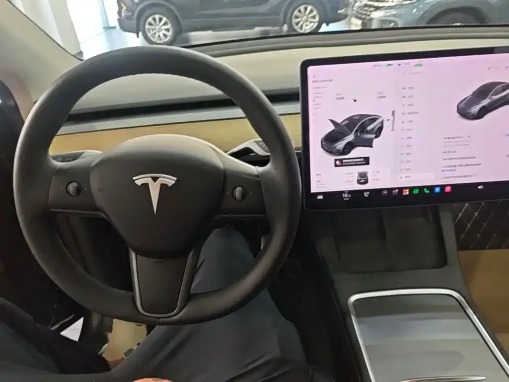 Tesla Model Y — фото 3