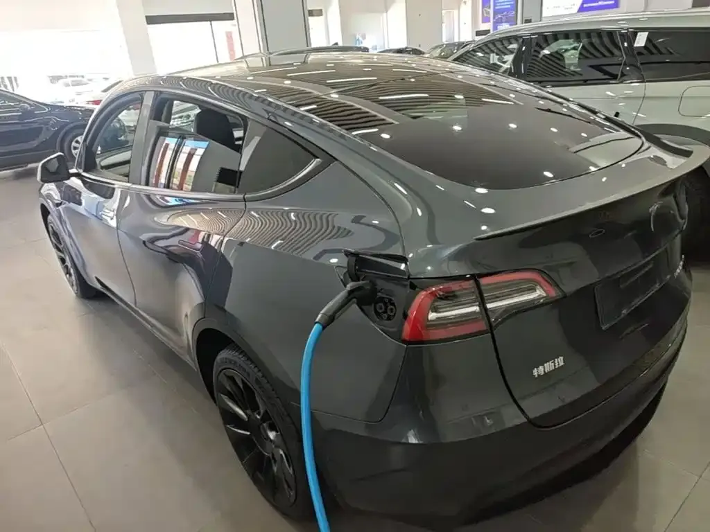 Tesla Model Y — фото 4