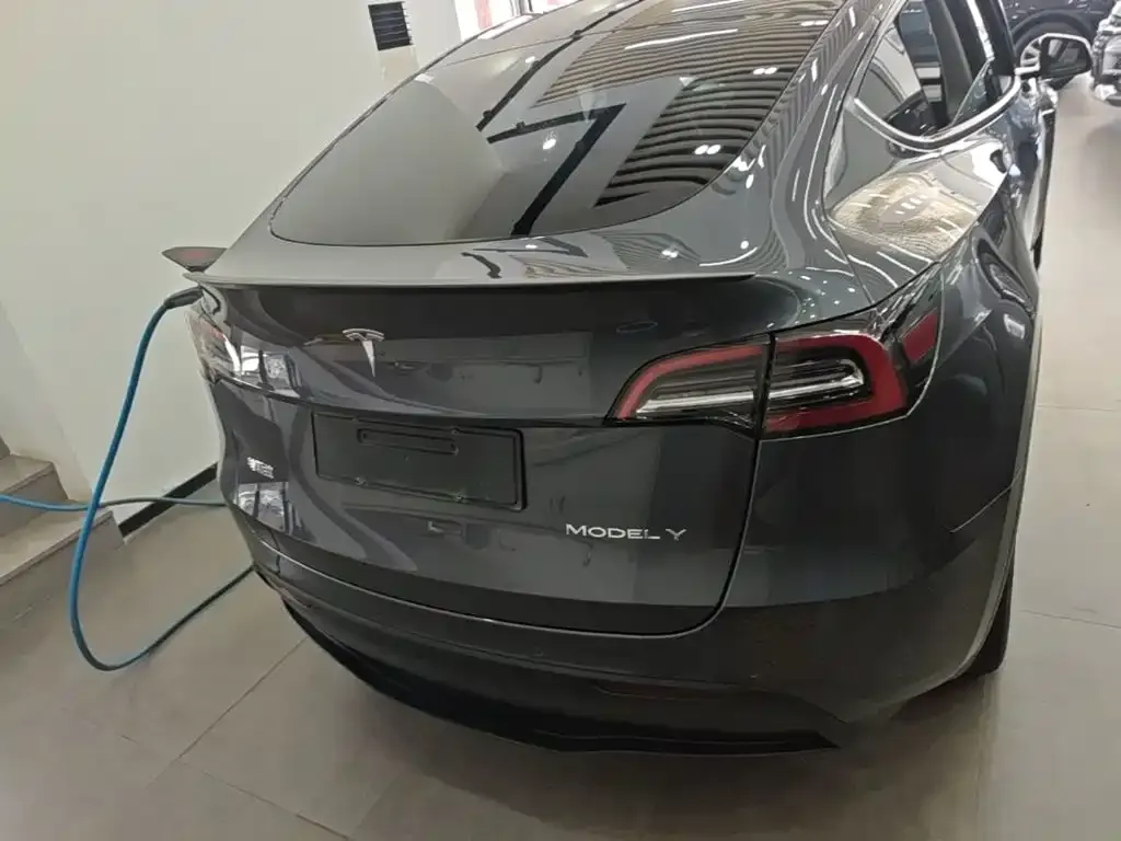Tesla Model Y — фото 9