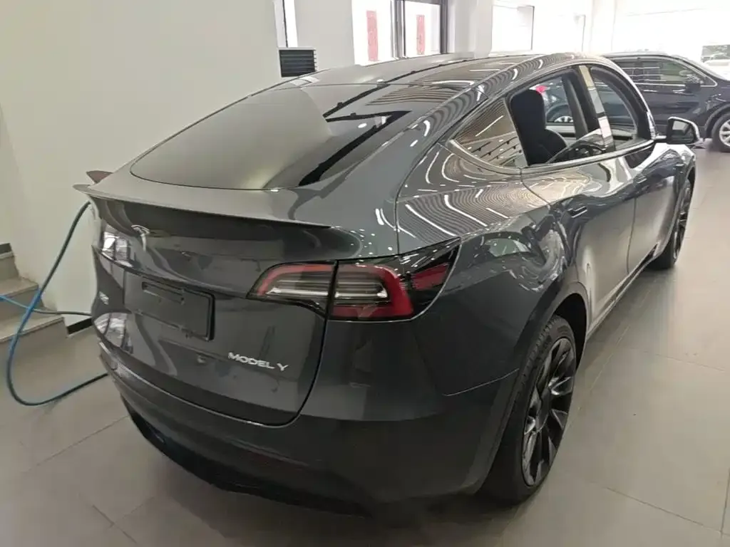 Tesla Model Y — фото 8