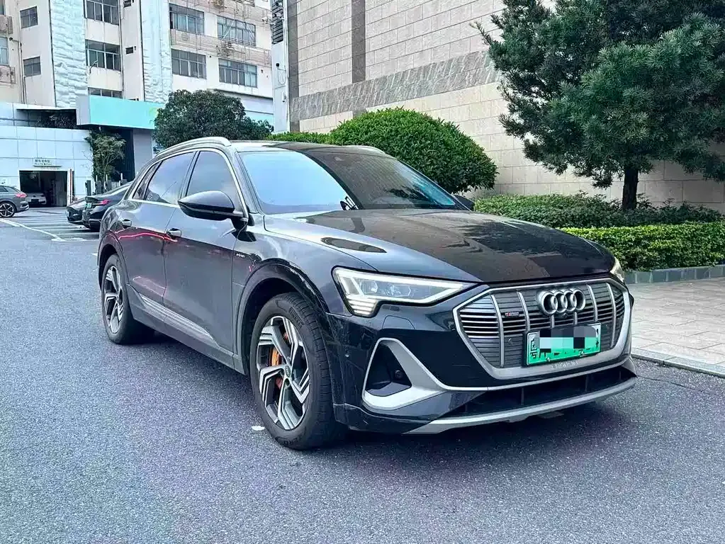 Audi e-tron — фото 10