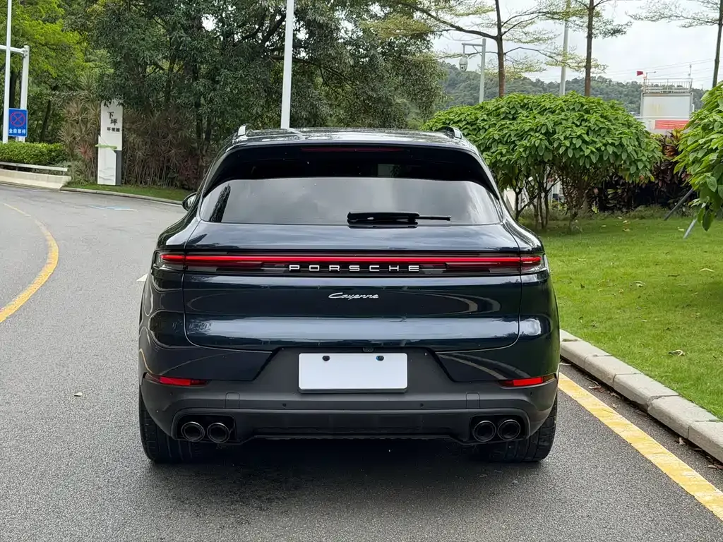 Porsche Cayenne — фото 8