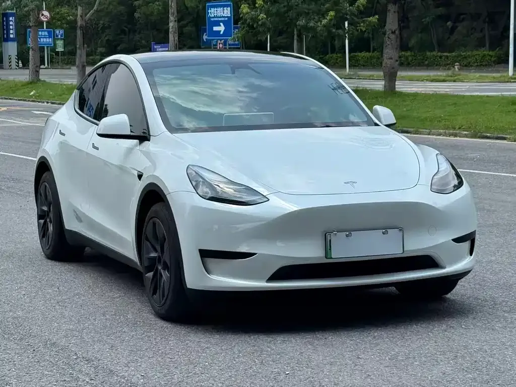 Tesla Model Y — фото 2